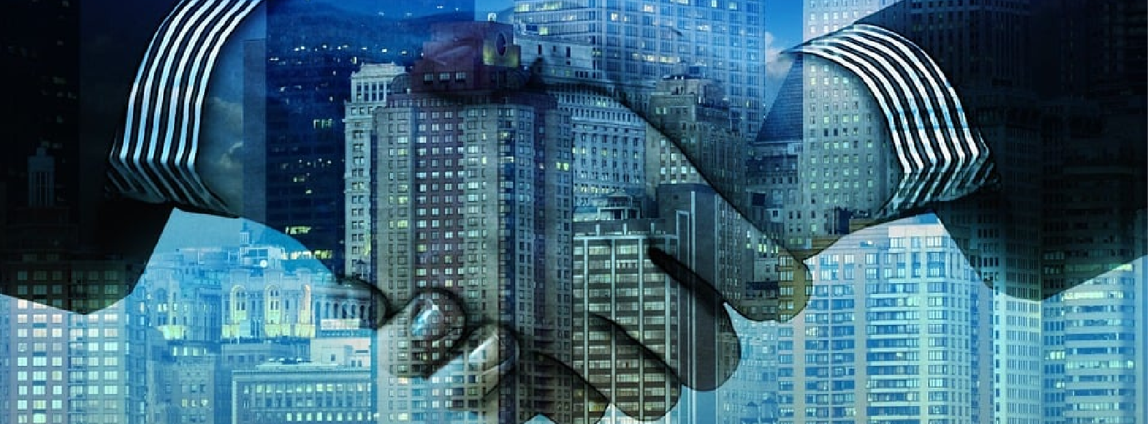 Partnership request form-01 RocketX Partnership Proposal Form