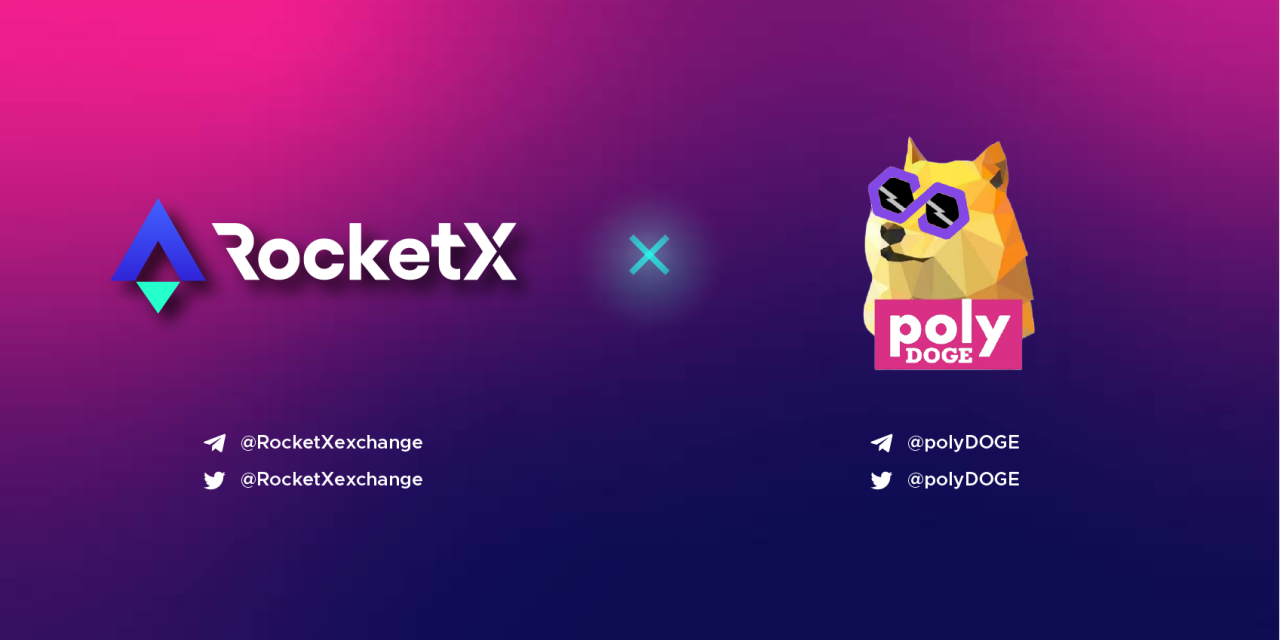 RocketX Brings 1-Click Cross-Chain Swaps to Boost PolyDOGE Trading