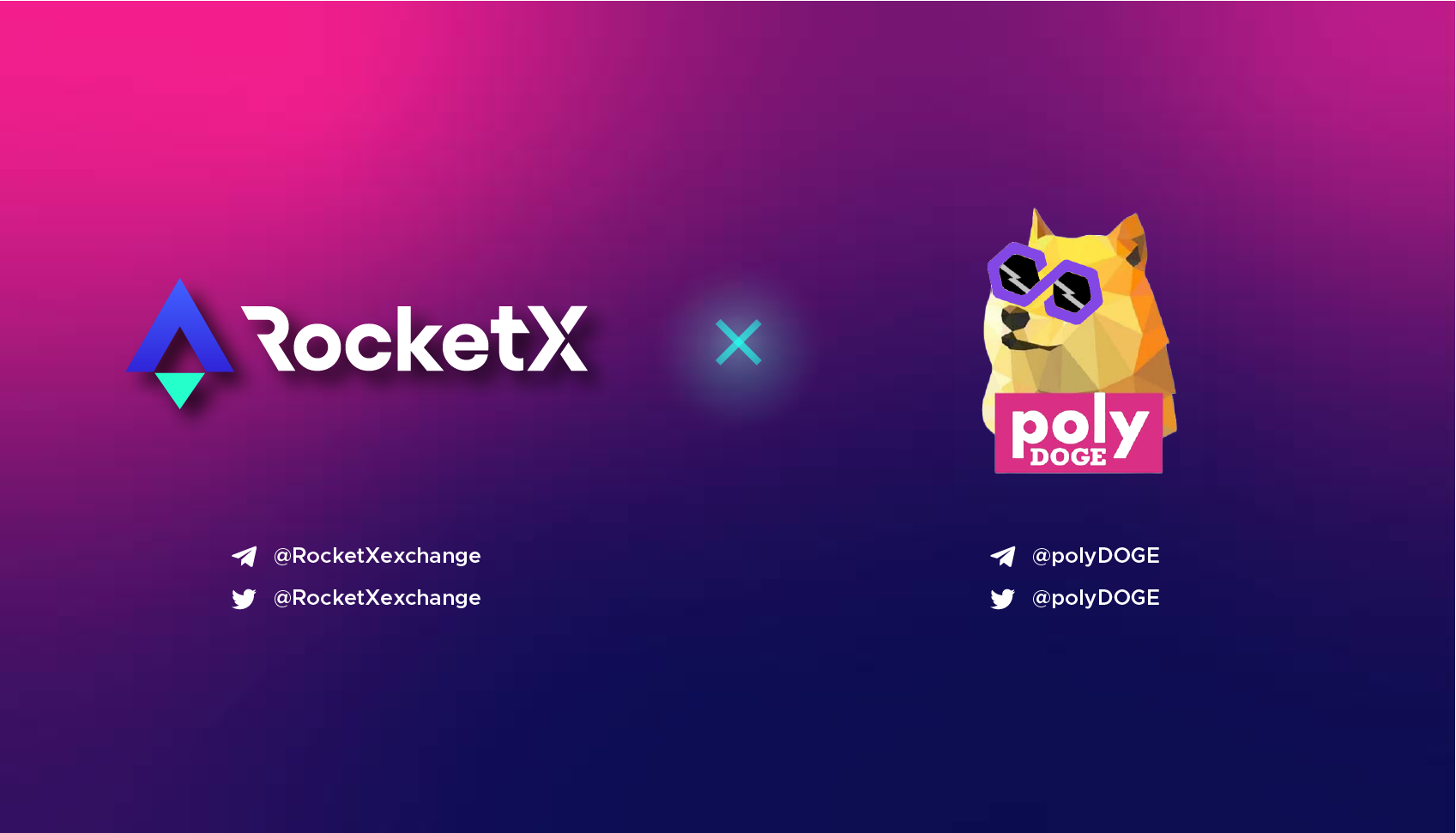 PolyDoge enters into a strategic partnership with RocketX to simplify access to liquidity across both CEX n DEX.