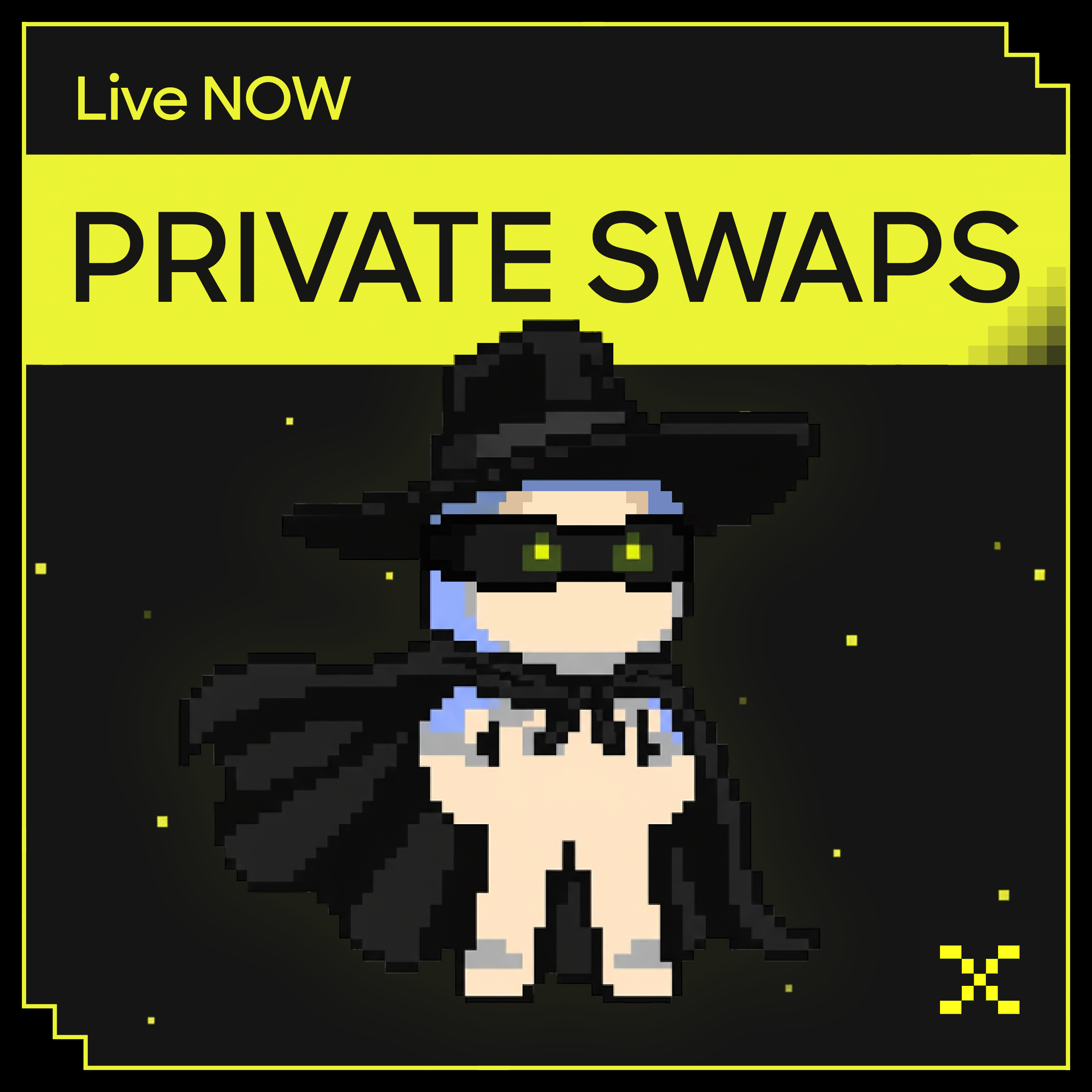Live Now Private Swaps feature banner with pixel-style masked character representing secure and anonymous crypto trading.